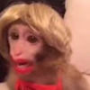 evelynpayne666
